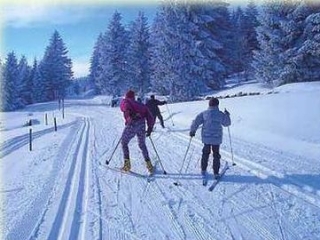  与家人或朋友一起远足 